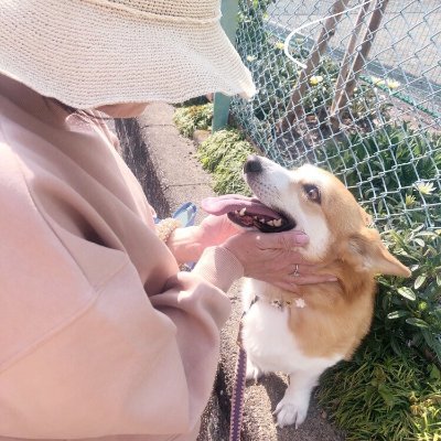 癒しの小部屋ハピネス アメブロを更新しました イングリッド バーグマン 名言 後悔 用心深い T Co Rccqnpyjv0