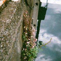 りゅうせい (@rtakajin) Twitter profile photo