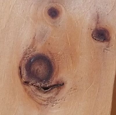 oooVerneooo's profile picture. ...having the human experience