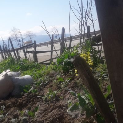 Mesutel59002780's profile picture. giresun /espiye 
resul dindar 
has karadenizli