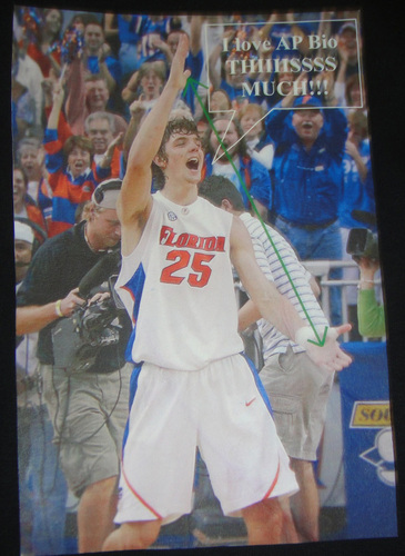 APBiologyNerds's profile picture. Just your ordinary nerds from AP Biology at West Shore, learning about sex, drugs, death, birth and violence before it's even Noon.