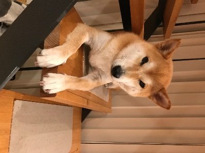 vformZPAN8xNXWc's profile picture. 発言とブロックは勤務先とは無関係です
藤井光（東京大学のほう）のパートナーです
東アジア史・ジェンダー史