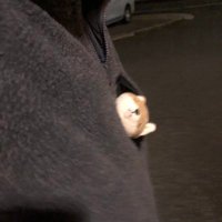 あべひ (@hikari_120209) 's Twitter Profile