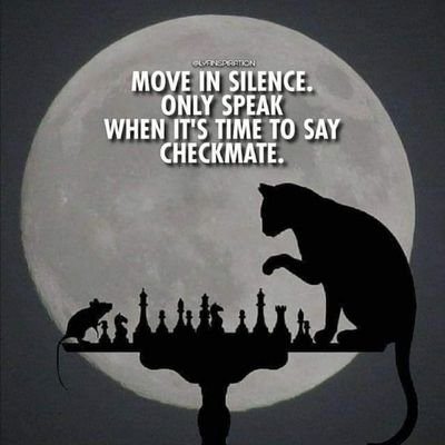 check_mate231's profile picture. Check mate 👑