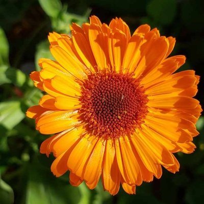 PatryMlanie1's profile picture. Je suis heureuse le matin, avant de prendre une café. Entrepreneure en cosmétiques écologiques.