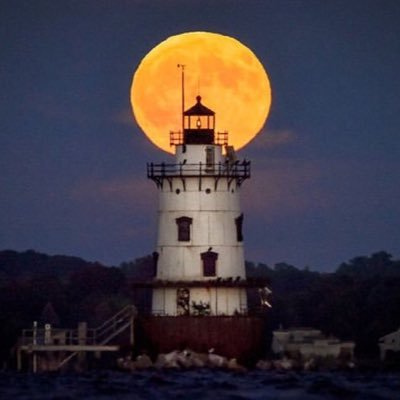 Gary65681933's profile picture. 