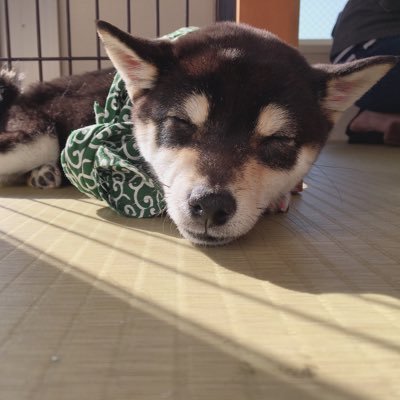 福田はるか Ha0502ru Twitter 福田はるか Ha0502ru Twitter