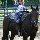 Jackie Anton - @mjhquarterhorse - Twitter