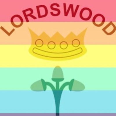 LordswoodCC's profile picture. Lordswood Cricket Club Official Twitter