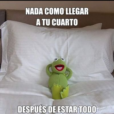 ergomeza_024's profile picture. otra