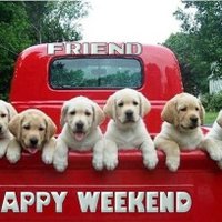 el brody #2 (@javiera68798324) 's Twitter Profile