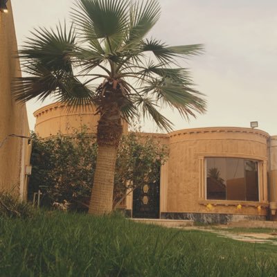 560096Omar's profile picture. 