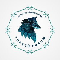 Türkçü Forum (@turkcu_forum) Twitter profile photo