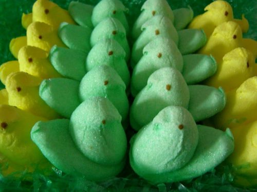 kegtenn's profile picture. #resist 🌊🌊🌊🌊🌊