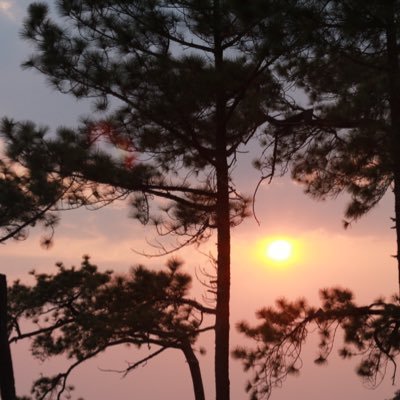 possibleme1's profile picture. 