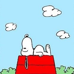 platipu's profile picture. AAUGH!