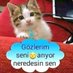 Ayşeserkanevli (@aye79614959) Twitter profile photo Ayşeserkanevli (@aye79614959) Twitter profile photo