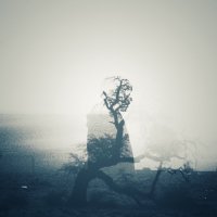 yew∮ (@yew_fuzzybox) 's Twitter Profile