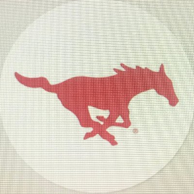 Mustang Sports Boosters - Medina, NY Profile