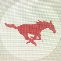 Mustang Sports Boosters - Medina, NY (@sports_medina) Twitter profile photo