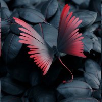 Ezz (@ezzanahoaa) Twitter profile photo