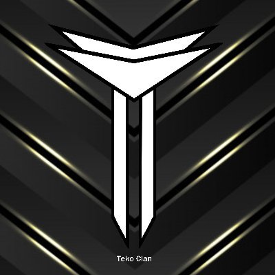 EST.2020 The New Generation Of Esport Organisations #WeAreTeko | We Are Here To Help Smaller Creators | Our Youtube ⬇️