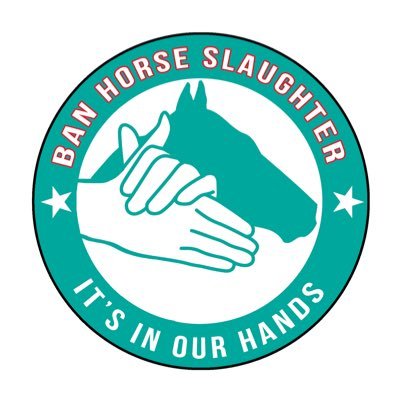 In Our Hands Action Fund, a 501(c)4 was established by experts all dedicated to one goal - ending the slaughter of America’s horses #BanHorseSlaughter