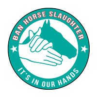 In Our Hands Action Fund(@HorsesInOurHand) 's Twitter Profile Photo