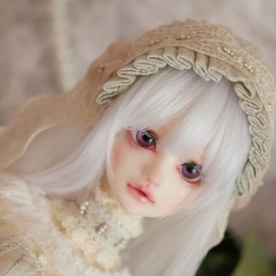 まるでTLが追えていない紗那緒さんのプロフィール画像