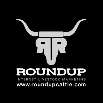 Roundup Cattle