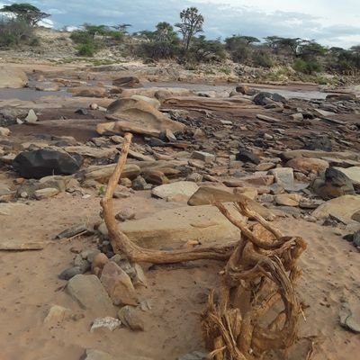 mooyo_ke's profile picture. truth seeker