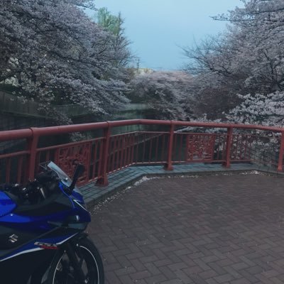 GSX250R納車しました！ 初心者ですがよろしくお願いします！ フォローは基本返します！