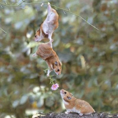 JantaDarbar7's profile picture. आवाज़ अपना _राज अपना , साधारण नागरिक