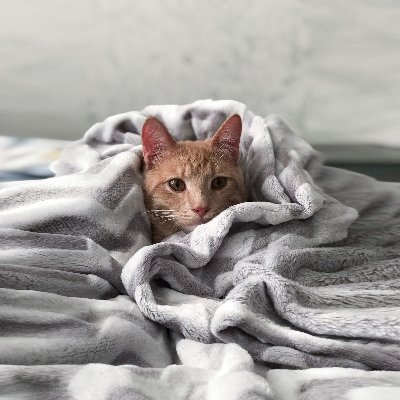 yasumune1025's profile picture. 宜しく