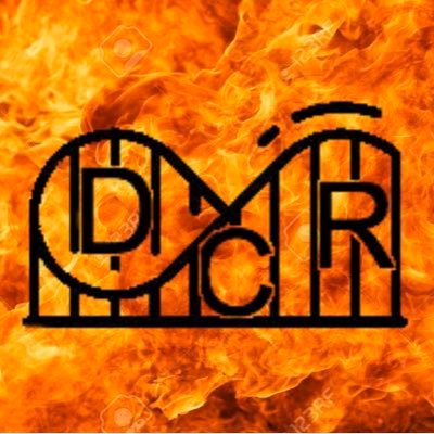 I am a crazy coaster rider, do videos on my channel on before 2030, predictions and reviews