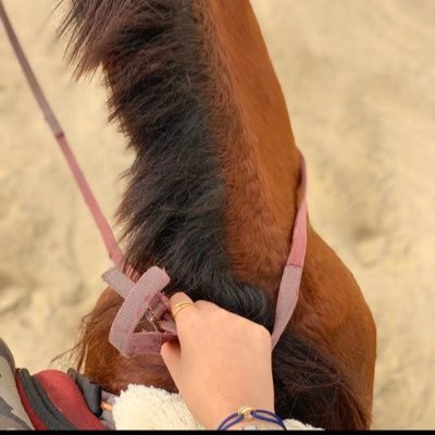 993S4's profile picture. 