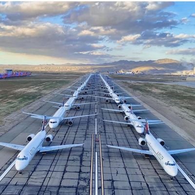 ivyneszippy's profile picture. 