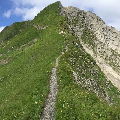 DwayneBenjami20's profile picture. Professor of Economics, and Provostial Advisor, Recruitment,  Enrolment, and Educational Space & Technology, University of Toronto.