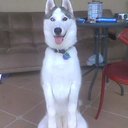 Geraldine Gee - @GeraldineGee - Twitter