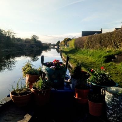LetNatureTake's profile picture. Cats Narrowboats Computers & Art