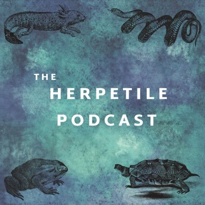 🐍 A podcast about herpetology hosted by Nash (I'm 10!) 🦎🐸
https://t.co/XGy7PWfE0X