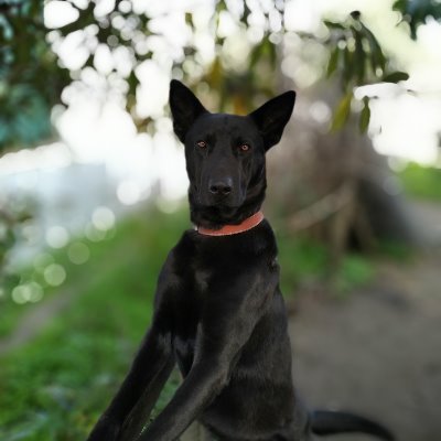luisoctav10's profile picture. "Yo solo sé... que nada sé"