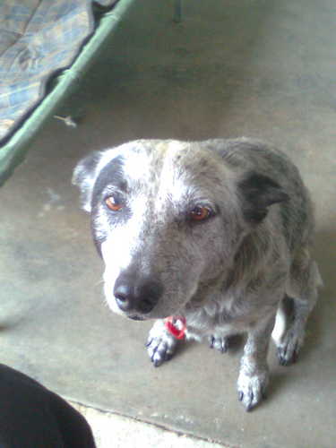 flanker62's profile picture. @snorkle.bsky.social
 @brian483f2df on tribel