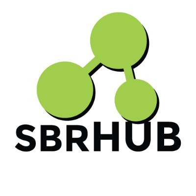 SBRHUB is a social media-based think tank & laboratory for developing collaborative solutions for a better South Bronx.