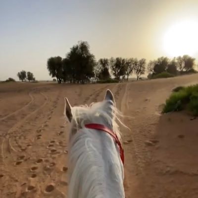 Mrmugalgal's profile picture. طالب العلم 

Striving to seek mercy of Allah ﷻ