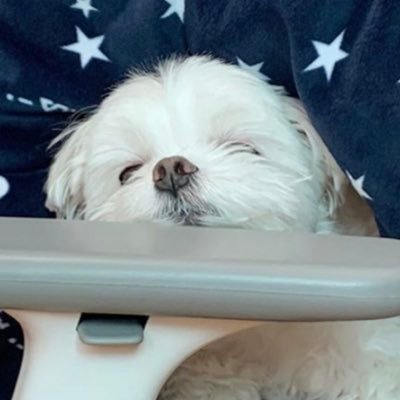 nanakosara's profile picture. เป็นแอ๋ว เป็นอาร์มมี่ เป็นเอ็นซิทิเซ่น เป็นเอทินี เป็นโมอาแล้วเรียบร้อย 5555