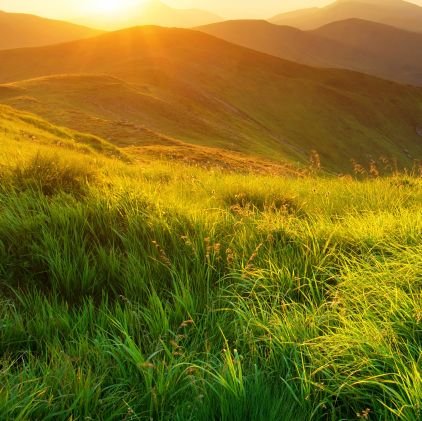 YHfRGtfcNwqQAlW's profile picture. 世の中ままならないことばかり。
気軽にツイ消しする。雑多に呟く。