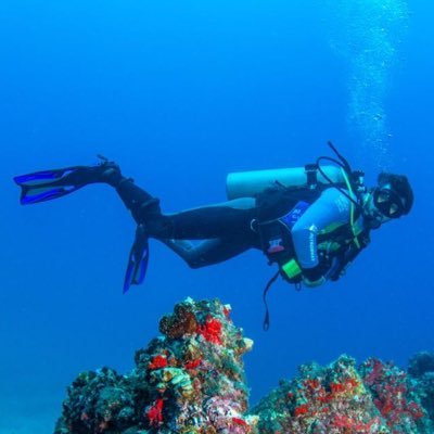 ricardojmiranda's profile picture. PhD Marine Ecologist | Coral Reefs | Biodiversity | Invasive Species | Ocean | Nature | Conservation | Management | Science