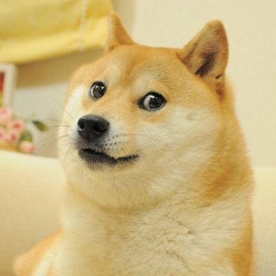 dogecoin_zh Profile Picture