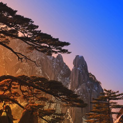 mepine's profile picture. 